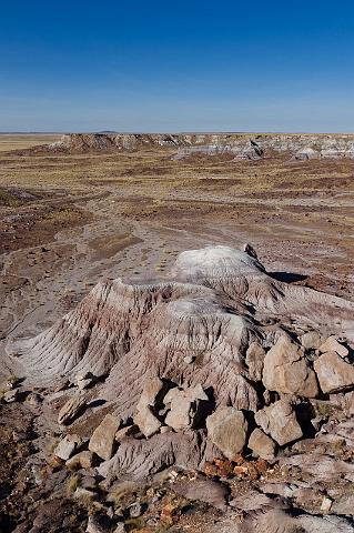 75 petrified forest, blue mesa.jpg